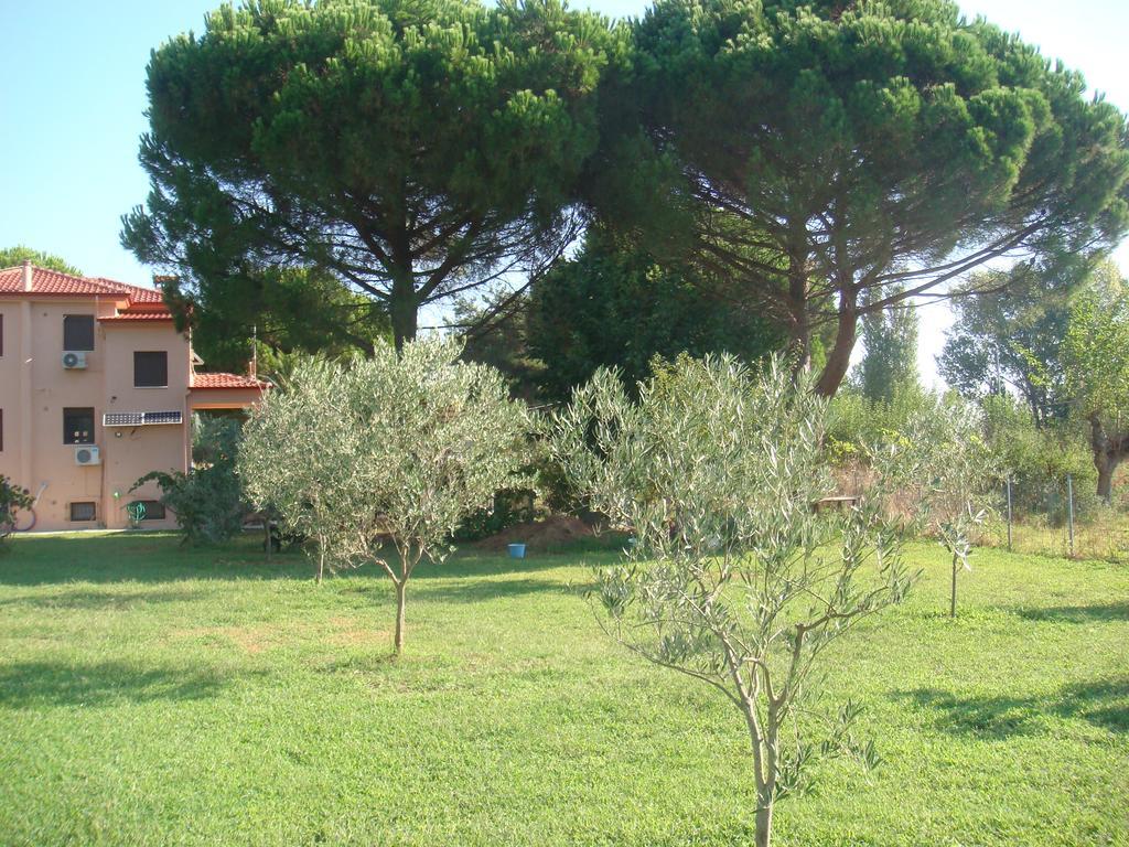 Villa Angela Sykia Chalkidikis Exterior photo